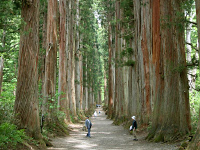 戸隠神社